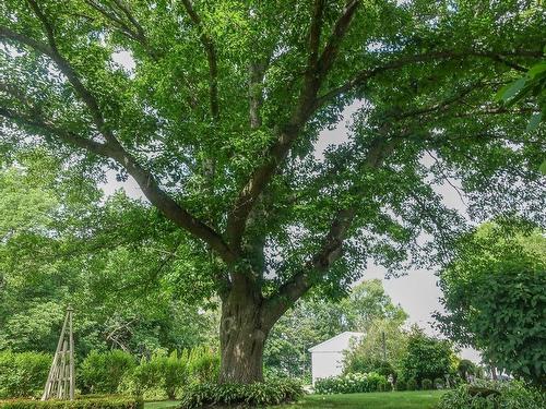 108 Marsters Avenue, Berwick, NS - Outdoor