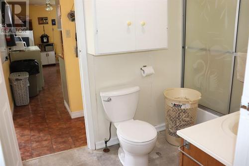 30 Riverside Loop, Barachois Brook, NL - Indoor Photo Showing Bathroom