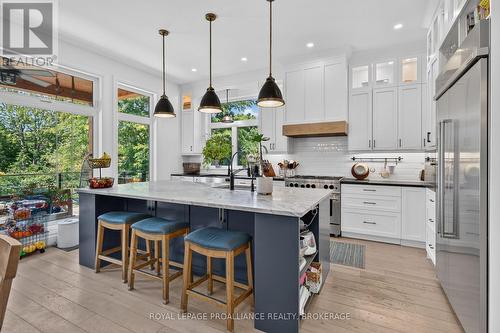 86 Macdonnell Street, Kingston (Central City East), ON - Indoor Photo Showing Kitchen With Upgraded Kitchen