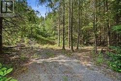 00 OTTER CREEK ROAD  Tweed (Hungerford (Twp)), ON K0K 3J0