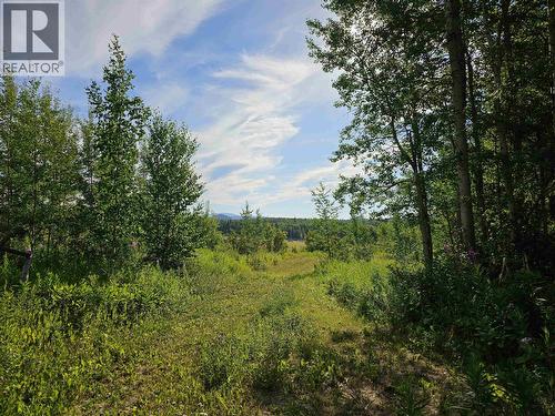 7086 Stella Road, Fraser Lake, BC - Outdoor With View