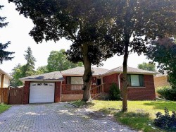 Basement-5 Carnegie Court Toronto, ON M2M 1W2