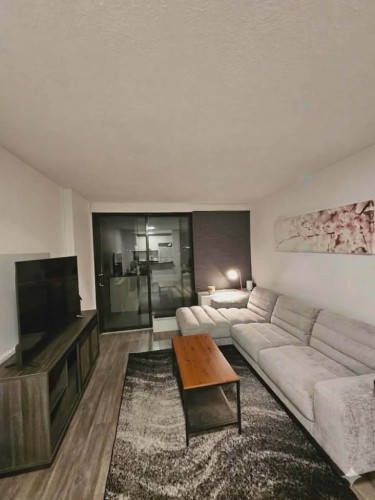 Living Room - 1125-2555 Av. Du Havre-Des-Îles, Laval (Chomedey), QC - Indoor Photo Showing Living Room
