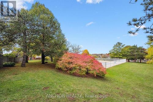 51 - 51 Dovercliffe Road, Guelph (Dovercliffe Park/Old University), ON - Outdoor