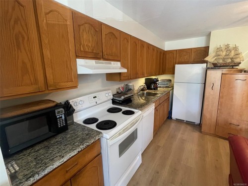 #304-30 Cavan St, Nanaimo, BC - Indoor Photo Showing Kitchen