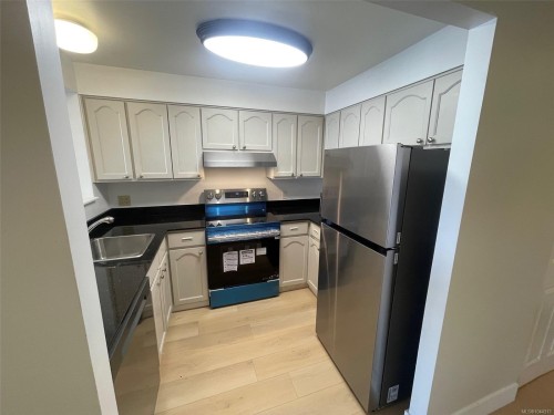 #209-30 Cavan St, Nanaimo, BC - Indoor Photo Showing Kitchen With Double Sink