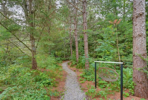 Wooded area - 25 Ch. Clément N., Mulgrave-Et-Derry, QC - Outdoor