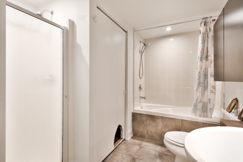 Salle de bains - 1887 Rue De Chambly, Montréal (Mercier/Hochelaga-Maisonneuve), QC - Indoor Photo Showing Bathroom
