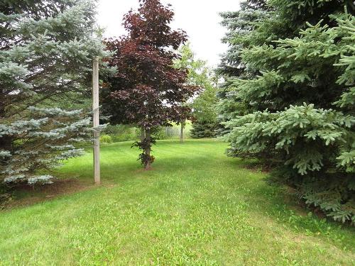 49 Massey Drive, Charlottetown, PE 