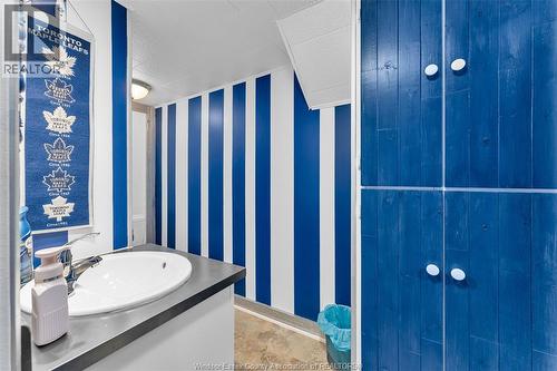 1664 Greenview Crescent, Windsor, ON - Indoor Photo Showing Bathroom