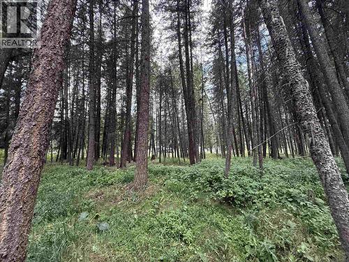 112 Corey Road, Quesnel, BC - Outdoor