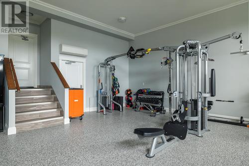 6 Stoneley Place, St. John'S, NL - Indoor Photo Showing Gym Room
