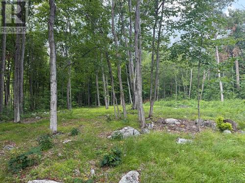 554 Pigden Road, Madoc, ON 