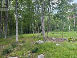 554 PIGDEN ROAD Madoc, ON K0K 2K0