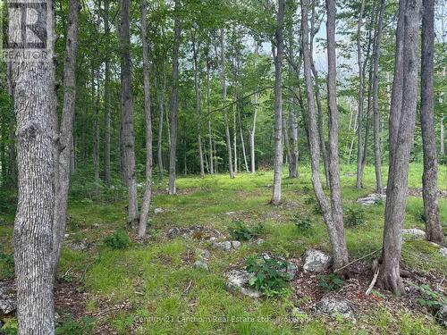 554 Pigden Road, Madoc, ON 