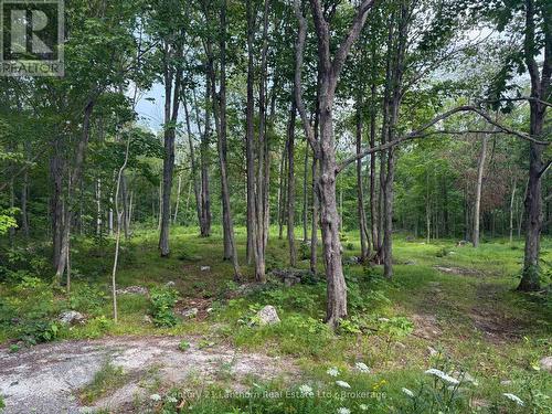 554 Pigden Road, Madoc, ON 