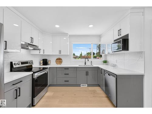 6011 93A Av Nw, Edmonton, AB - Indoor Photo Showing Kitchen With Double Sink With Upgraded Kitchen