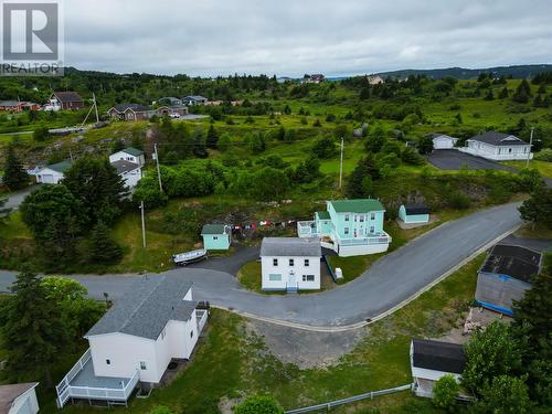 183 Harbour Drive, Harbour Main, NL - Outdoor With View