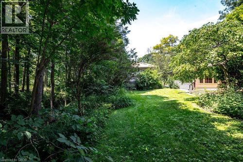 sloping greenspace of the backyard - 44 Colquhoun Crescent, Hamilton, ON - Outdoor