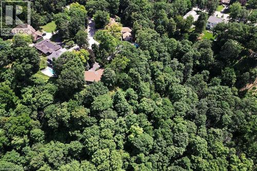 Tree filled surroundings - 44 Colquhoun Crescent, Hamilton, ON - Outdoor