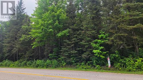 Con 2 Pt Lt 19 Hwy 518, Kearney, ON 