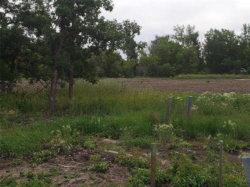 41 Cuthbert Cove, St Francois Xavier, MB 