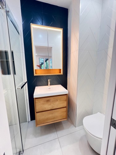 Bathroom - 6439 Av. Des Érables, Montréal (Rosemont/La Petite-Patrie), QC - Indoor Photo Showing Bathroom