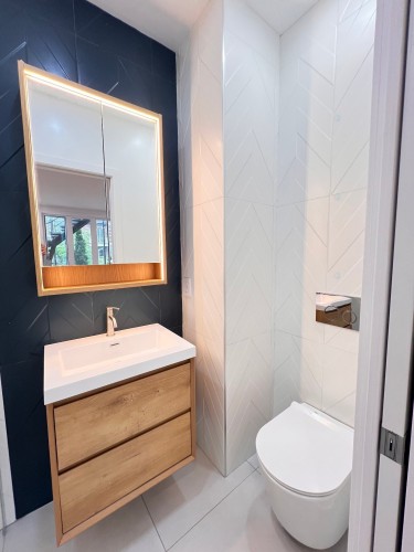 Bathroom - 6439 Av. Des Érables, Montréal (Rosemont/La Petite-Patrie), QC - Indoor Photo Showing Bathroom