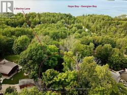 Cabin set in the trees steps from Georgian Bay. - 