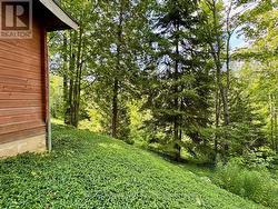 Cottage overlooking private valley. - 