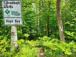 Bruce Trail access a mere 100 steps away. - 