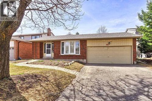 44 RUTLEDGE AVENUE  Newmarket, ON L3Y 5T4