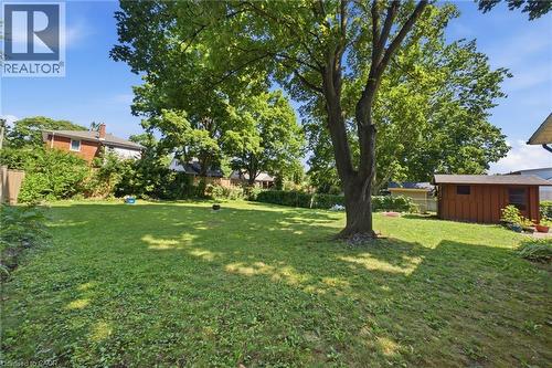 Expansive backyard featuring a manicured lawn, mature trees, a red wood-sided storage shed, and surrounding green landscaping - 80 Jackson Avenue, Kitchener, ON - Outdoor