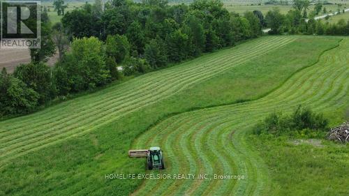 1854 5 Side Road, Ramara, ON 