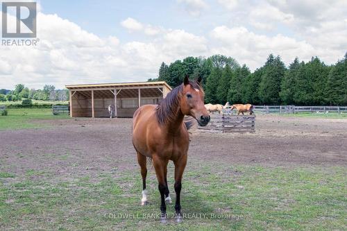 5728 Gilmore Road, Clarington, ON 