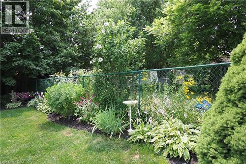 Lush perennial garden bed bordering a green chain-link fence - 218 Inverhuron Crescent Unit# A, Waterloo, ON - Outdoor