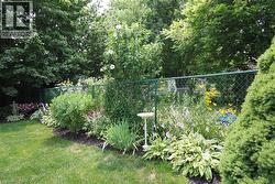 Lush perennial garden bed bordering a green chain-link fence - 