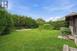 Backyard - 