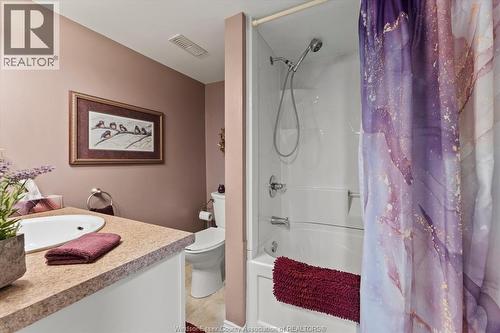 1003 Isabelle Place, Windsor, ON - Indoor Photo Showing Bathroom