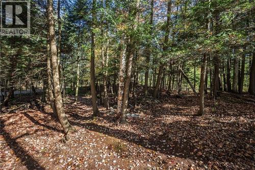 View towards road - 1012 Armstrong Road, Gravenhurst, ON - Outdoor With View