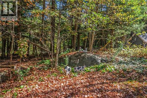 1012 Armstrong Road, Gravenhurst, ON - Outdoor