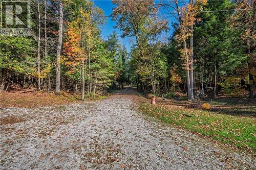 View of large driveway - 1012 Armstrong Road, Gravenhurst, ON - Outdoor With View