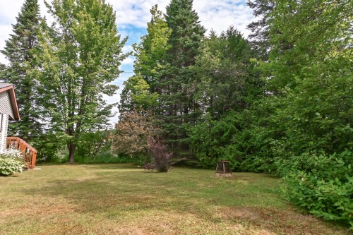 Cour - 16 Ch. Du Lac-Adair, Saint-Hippolyte, QC - Outdoor