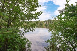 Bord de l'eau - 