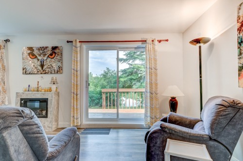 Salon - 16 Ch. Du Lac-Adair, Saint-Hippolyte, QC - Indoor Photo Showing Living Room With Fireplace