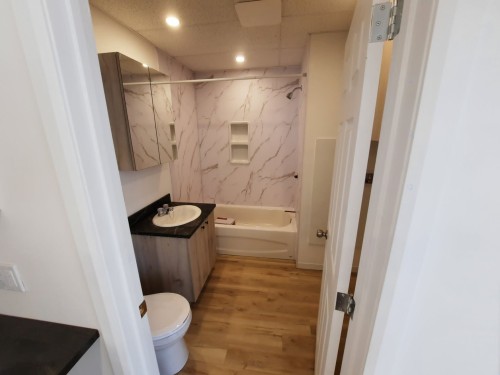 Bathroom - 70 Rue Lapointe, Clermont, QC - Indoor Photo Showing Bathroom