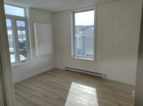 Bedroom - 70 Rue Lapointe, Clermont, QC - Indoor Photo Showing Other Room
