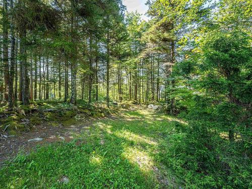 397 Chalet Drive, Vaughan, NS - Outdoor