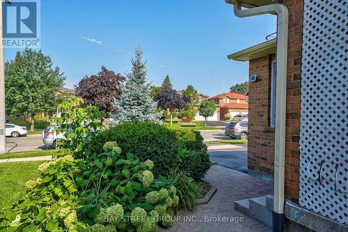 ROOM A - 169 KILLIAN ROAD , Vaughan, Ontario L6A 1A8 2