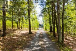 30 STEPHEN ROAD  Muskoka Lakes (Medora), ON P0B 1J0